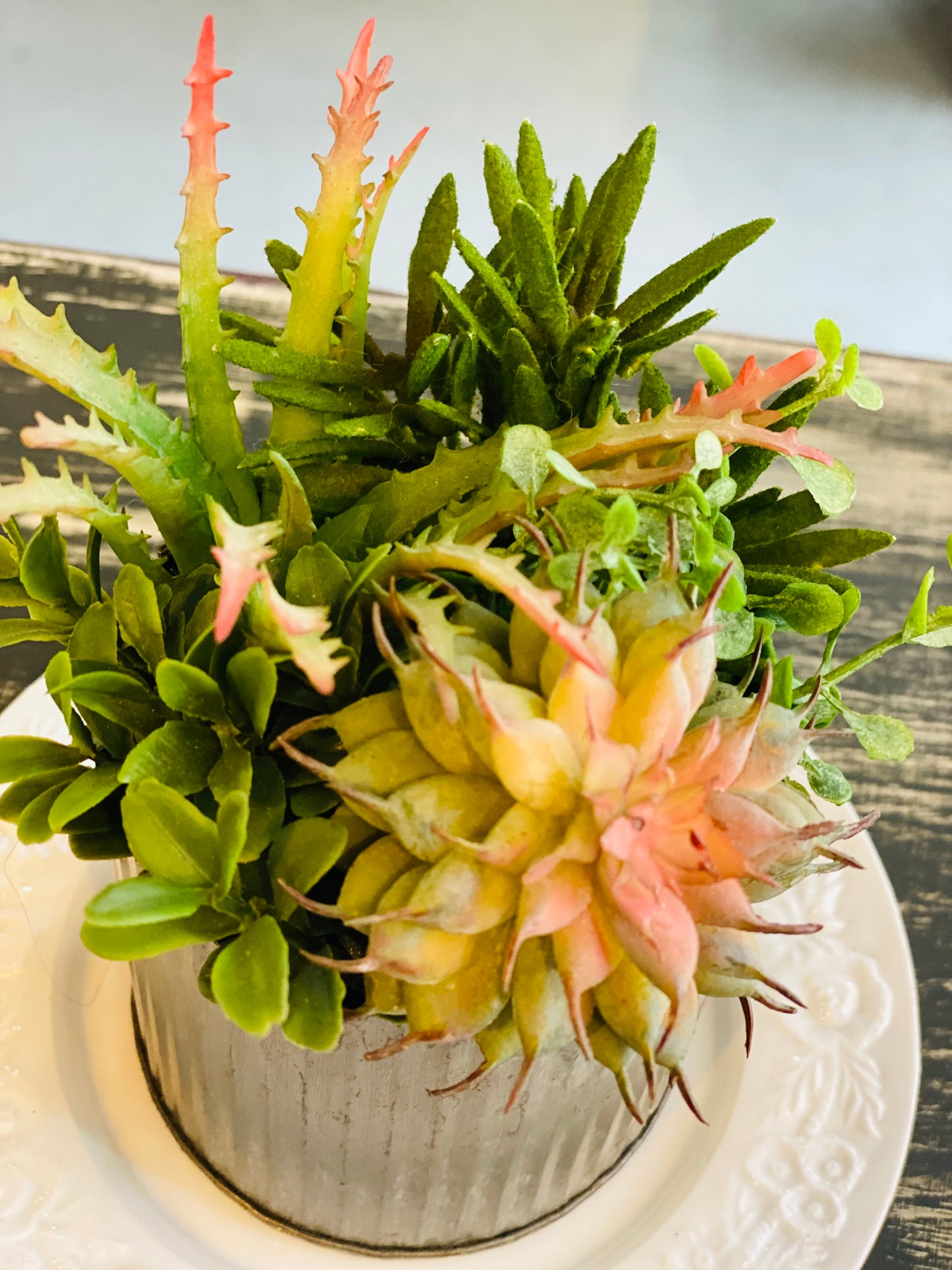 Artificial Succulent Plant